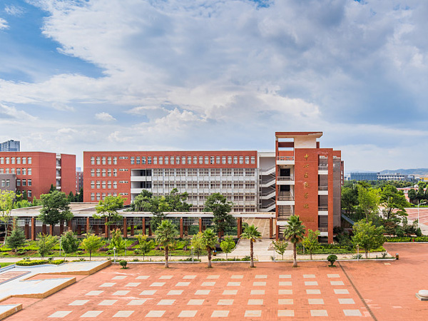 学校教育